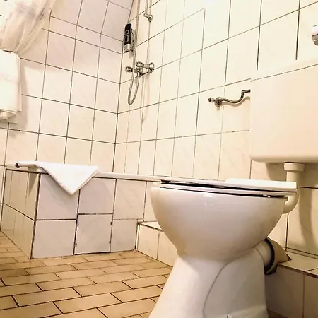 Hotel Auerhahn 3*